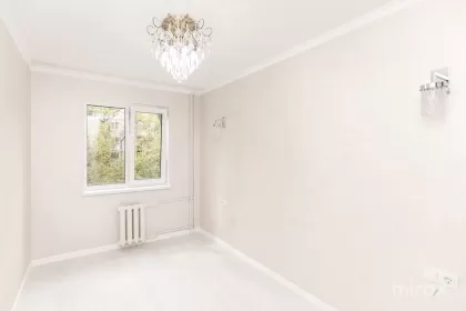 str. Nikolai Zelinski, Botanica image 245217