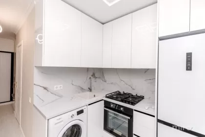 str. Nikolai Zelinski, Botanica image 245213