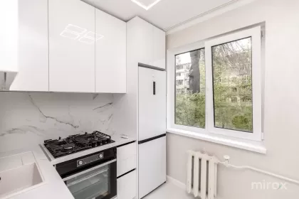 str. Nikolai Zelinski, Botanica image 245214