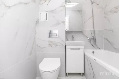 str. Nikolai Zelinski, Botanica image 245220