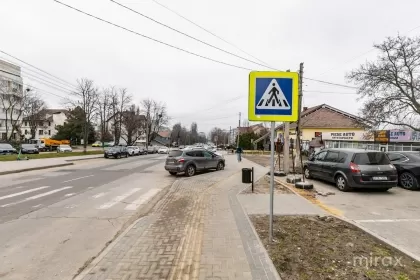 str. Burebista, Botanica imaginea 244363