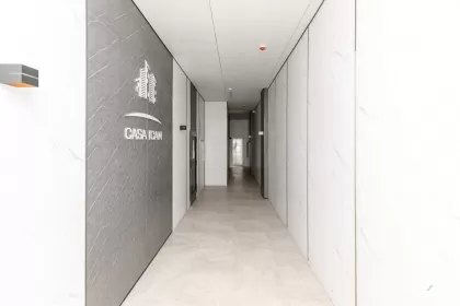 str. Burebista, Botanica imaginea 244360