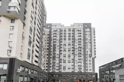 str. Burebista, Botanica imaginea 244362