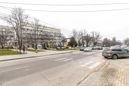 str. Burebista, Botanica imaginea 244361