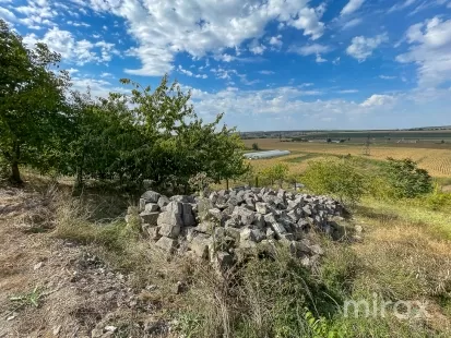 ул. Волунтарилор, Стрэистень, Кишинев изображение 182337