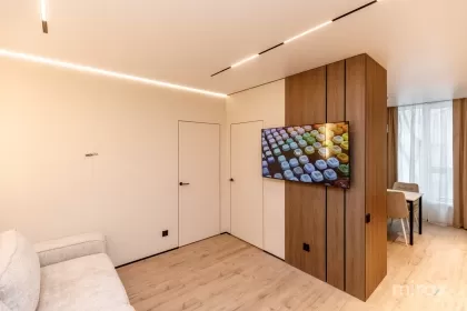 бул. Куза Водэ, Ботаника, Кишинев изображение 243239