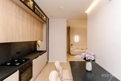 str. Vasile Lupu, Buiucani, Chișinău image 245255