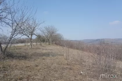 с. Кристешты, Ниспорень, Молдова изображение 218770