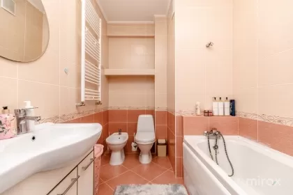 шос. Балканы, Буюканы, Кишинёв изображение 239525