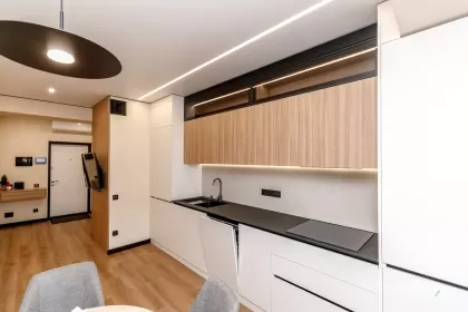 str. Calea Ieșilor, Buiucani, Chișinău imaginea 239533