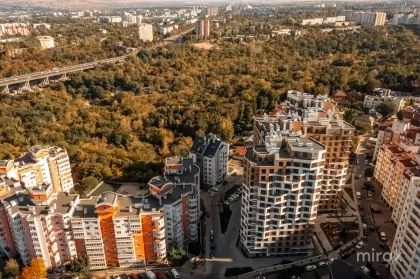 str. N. Testemițanu, Centru, Chișinău