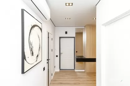 ул. Иоана Раду, Буюканы, Кишинев изображение 239563