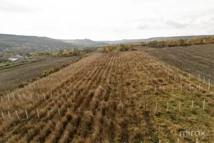 s. Balțata, Criuleni, Chișinău