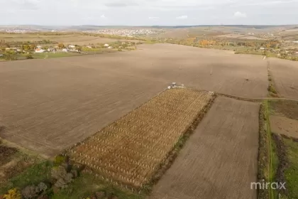 s. Balțata, Criuleni, Chișinău