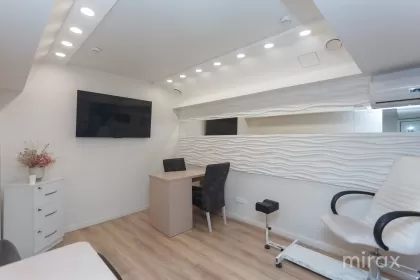 ул. Григоре Виеру, Рышкановка, Кишинёв изображение 242205