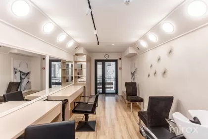 ул. Григоре Виеру, Рышкановка, Кишинёв изображение 242201