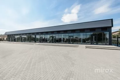 с. Кетросу, Новые Анены, Молдова изображение 221413