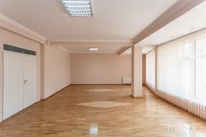 bd. Ștefan cel Mare, Centru, Chișinău imaginea 230261