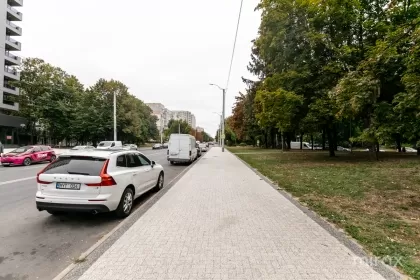 бул. Куза Водэ, Ботаника, Кишинев изображение 235911