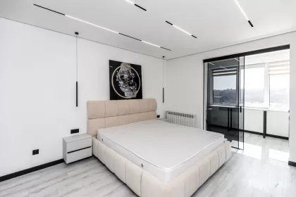 ул. Василе Лупу, Буюканы, Кишинев изображение 245334