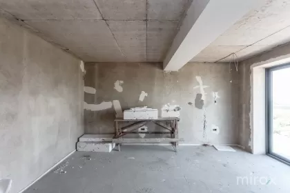 str. Calea Basarbiei, Colonița, mun. Chișinău imaginea 221434