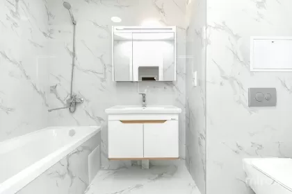 bd. Dacia, Botanica, Chișinău image 242231