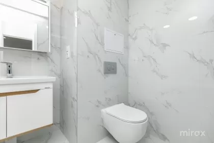 bd. Dacia, Botanica, Chișinău image 242232