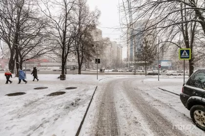 bd. Dacia, Botanica, Chișinău image 242236