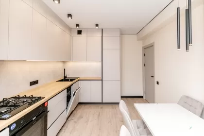 str. Ghică Vodă, Botanica, Chișinău imaginea 244447