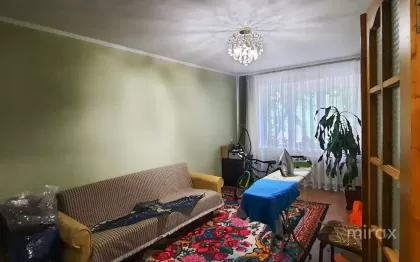 Куза Водэ, Ботаника, Кишинев