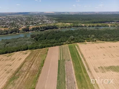 str. Mălăiești, Criuleni, Chișinău imaginea 227079