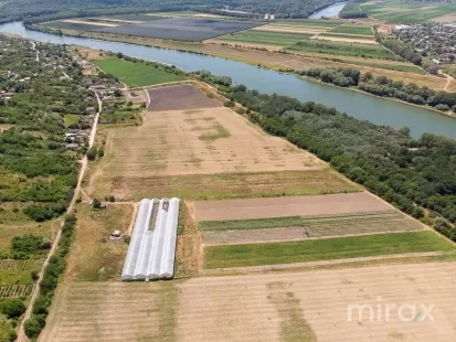 str. Mălăiești, Criuleni, Chișinău imaginea 227083